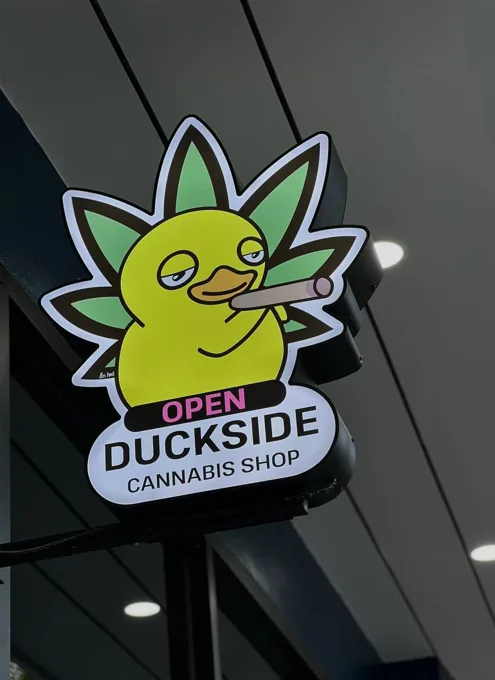 Duckside illuminated storefront sign