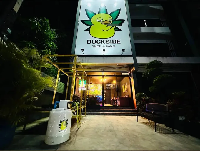 Duckside store at night