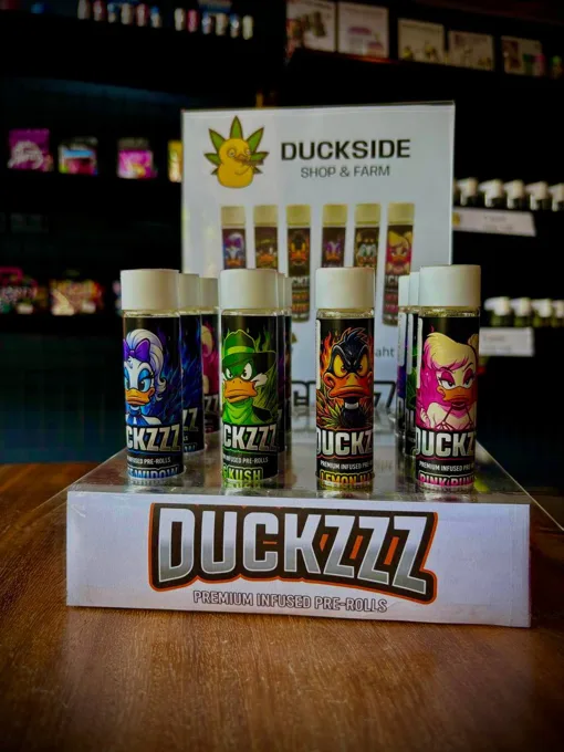 Inside Duckside — gallery photo 20