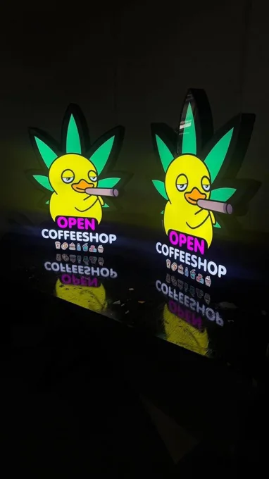 Illuminated Duckside signs